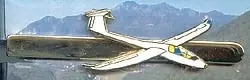 P.001c Krawattennadel Segelflugzeug goldfarben Bestseller