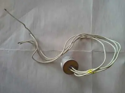 Nur Für Kurze Zeit Drossel 5805 Shy 4 - 7940