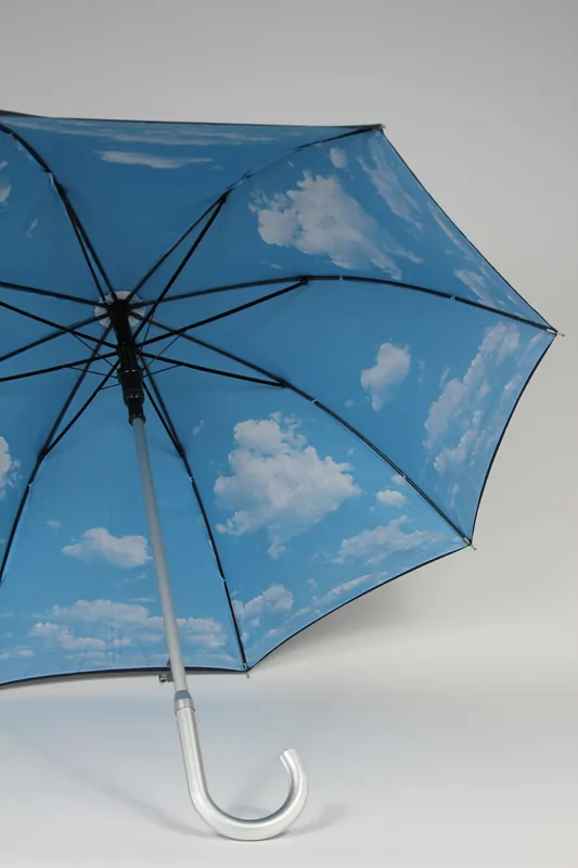 Regenschirm mit Wolkenmotiv Highlight