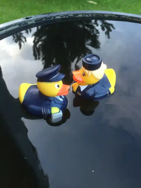 Geprüft Badeenten Pilot / Stewardess