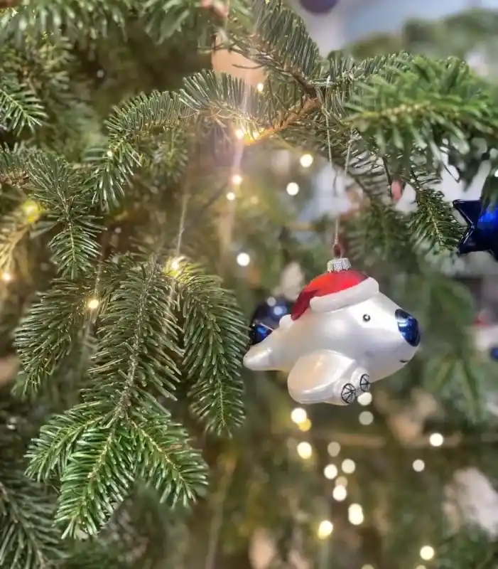 Wochenendangebot Weihnachtsflieger