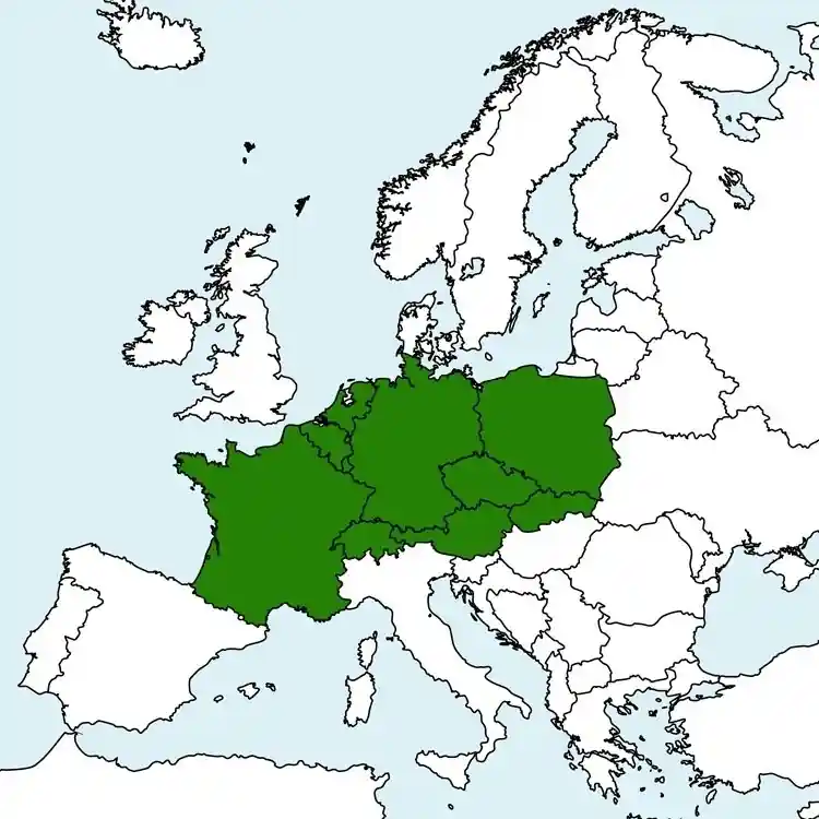 Top-Preis JeppView VFR Central Europe