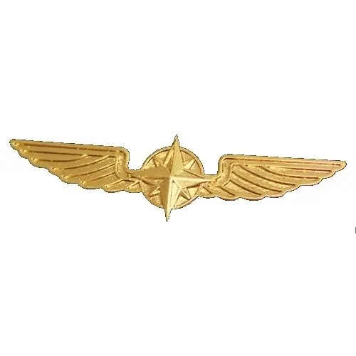 Pilotenschwinge gold, 5 cm Kracherpreis