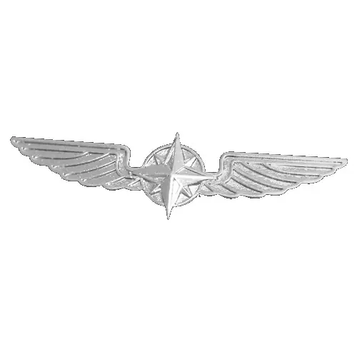 Versand Am Gleichen Tag Pilotenschwinge silber, 5 cm
