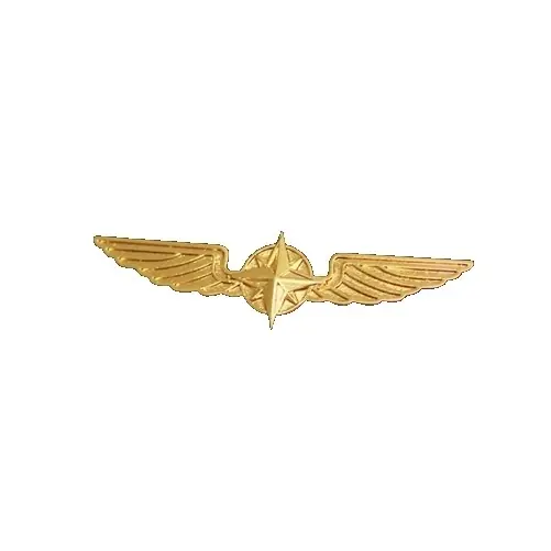 Pilotenschwinge gold, 3,5 cm Billig
